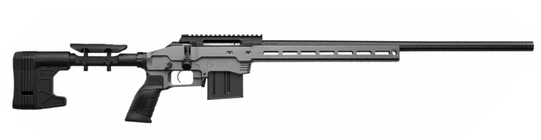 CZ-USA 600+ TS2 MDT 308 Win